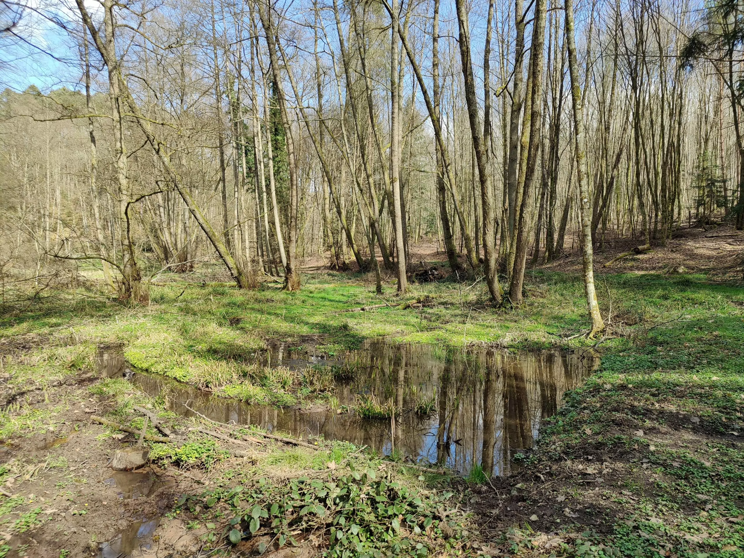 Der Frühling ruft